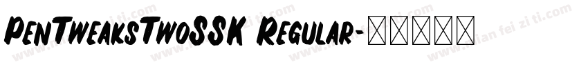 PenTweaksTwoSSK Regular字体转换